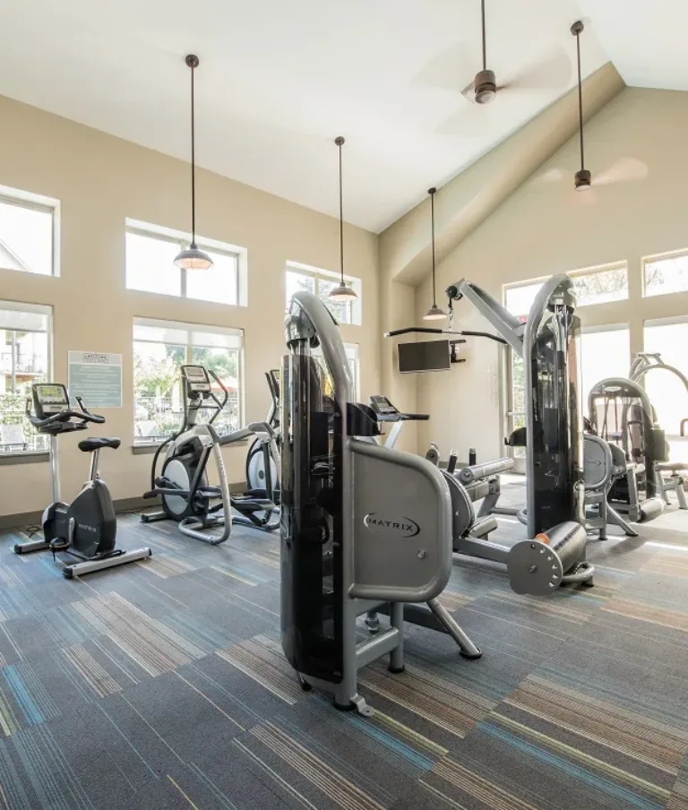 A bright gym room with various exercise machines including treadmills, stationary bikes, and weight lifting equipment. There are large windows allowing natural light and a TV mounted on the wall.