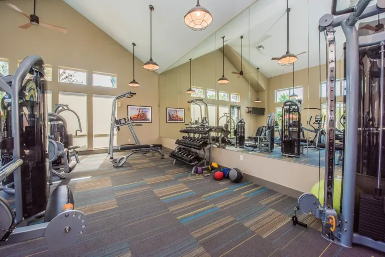 A modern gym with various fitness equipment including treadmills, weight machines, and a rack of dumbbells. The room has large mirrors on one wall, high ceilings, and a carpeted floor with colorful patterns.