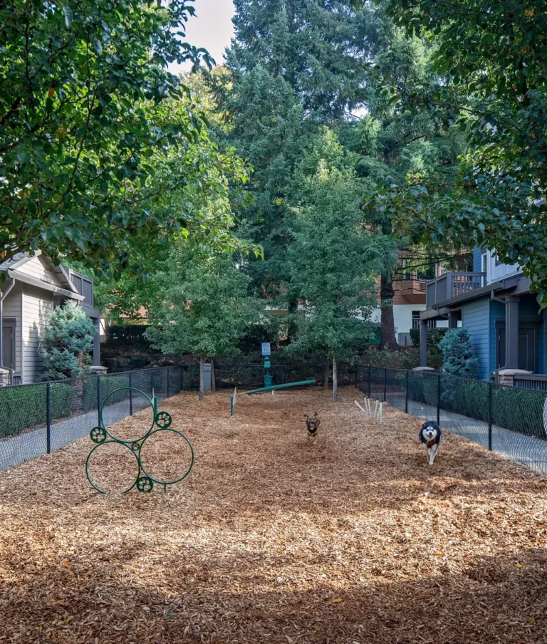 Outdoor fenced dog play area at an apartment complex with mulch ground, agility hoops, and two dogs running towards the camera, surrounded by trees and nearby apartment buildings.