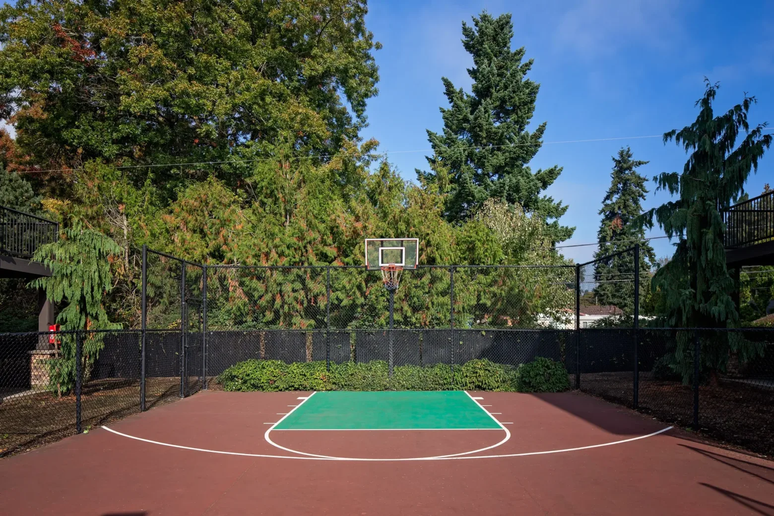 Outdoor basketball court surrounded by tall trees and a chain-link fence, with a clear blue sky above.